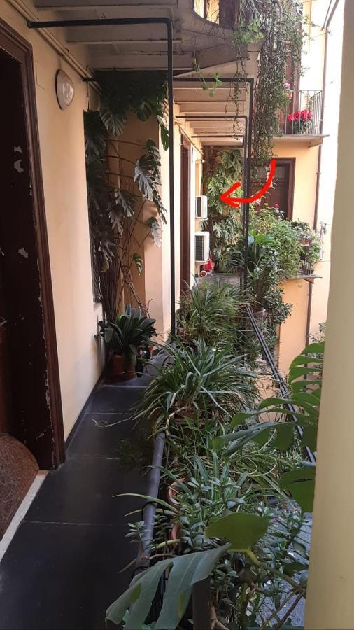 Charme De Rome Vatican Apartment Ngoại thất bức ảnh